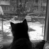 -Hệ thống 001- {Rath}