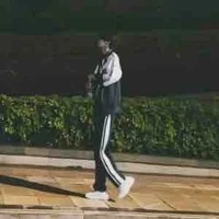 hệ thống số 1795-Hoàng long