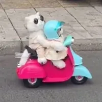 Hệ Thống Rí Đờ |T/G