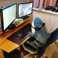 Nhóm Bot