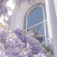 All (ai có ở đó)