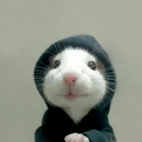 all