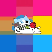 brookkie( mèo)