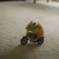 @𝘾𝙝𝙖𝙮𝙙𝙪𝙖𝙫𝙨𝙩𝙝𝙤𝙞𝙜𝙞𝙖𝙣