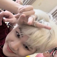 t/g Con cừu mất cánh