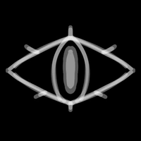 The Eyes of watching