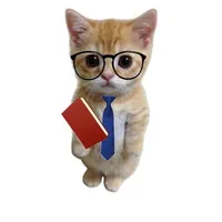 định lý KHÓ -TA - LIẾC