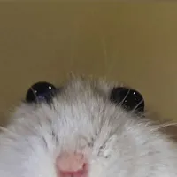 tg