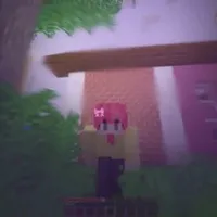 ST_Hiha