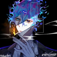 Hiha_Des