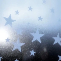 Thuyền Trưởng 👑