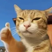 Con Tác giả bị kHùn