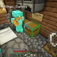 Bí Ngô