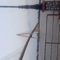 tác giả