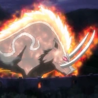 Hoá Thân [Heo rừng]