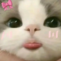 T/G