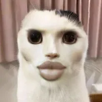Cô bé bán hạt nhân=)) t/g uy tín