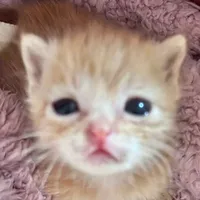 bố m bị sĩ