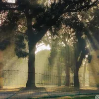 All ( trừ ai thì trừ )