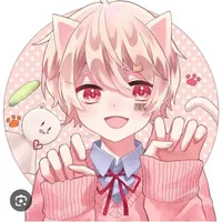 Mèo
