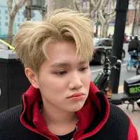 Hoàng Đức Duy ( em )