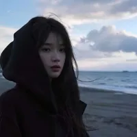 Hàn Chi