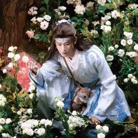 Li Vẫn
