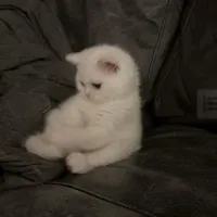 người qua đường