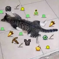 tất cả mn