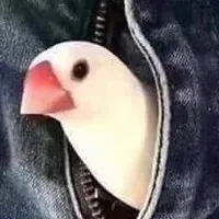Tác giả bận 🐿️🫙⚓🦋