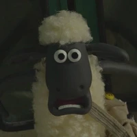 T/G trâu bò 🐮