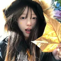 Lâm An Kỳ