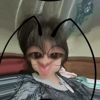 vo cua hoang duc duy 