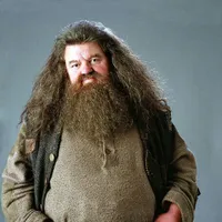 Rubeus hagrid