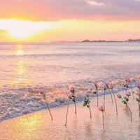 Bình yên,Hạnh phúc,tĩnh lặng