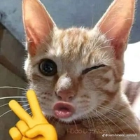 thủy cute