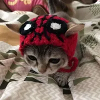 Tác giả cutiuuuu