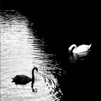 All (chốt ai thì chốt)