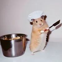 Fan - @Cac.quat_deptrai.