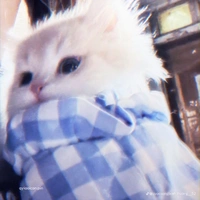 rin ( hệ thống 003)