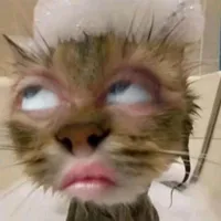 nhóm chance vì quên tên