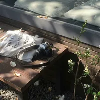 CLB Nhiếp Ảnh|@di.dau.cung.co.anh