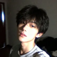 Lâm Vĩnh Tùng/Nico/