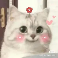 hệ thống meo meo