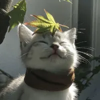 út khờ
