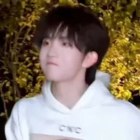 Puu.