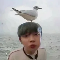 con ngọc điên(t/g)