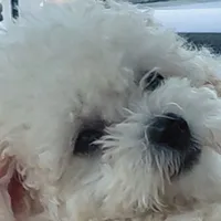 ♧~Minh Châu~♧