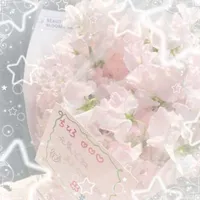 ☆° ﾟReaderﾟ°☆