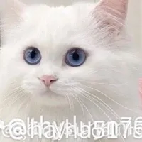 hắc ám 